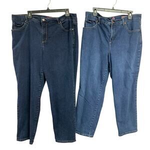 2 Gloria Vanderbilt Womens Plus Size 18W Cotton Blend Amanda Denim Blue Jeans